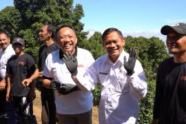 Dispar Buleleng majukan destinasi agrowisata kopi