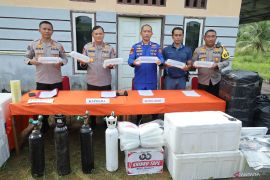 Polda Babel gagalkan penyelundupan benih lobster senilai RP35,5 miliar