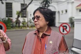 Indonesia's OECD membership unaffected by environmental issues: Govt