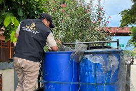 BKHIT Maluku pastikan ribuan belut dikirim ke Jakarta bebas hama dan penyakit