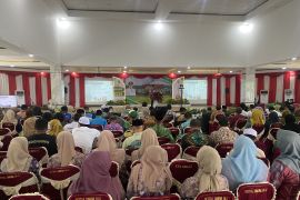 Bupati Balangan: RPJPD acuan capai tujuan besar daerah