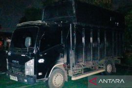 Brimob Polda Sumsel tangani penyelundupan 11 ton BBM