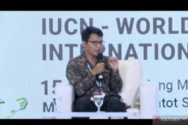 KLHK : potensi penemuan jenis anggrek di Papua cukup tinggi