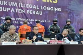 Tim Gakkum KLHK tetapkan 2 tersangka dan buru pemilik bandsaw di Berau