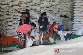 Bulog Manokwari mulai penyaluran bantuan pangan tahap II dari Manokwari