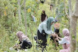 Program Cofiring Biomassa PLTU menggerakkan ekonomi masyarakat