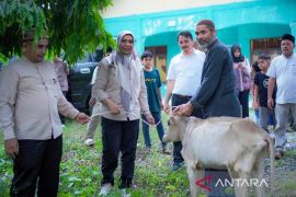 Pemkab Nagan Raya salurkan bantuan ternak sapi untuk pesantren