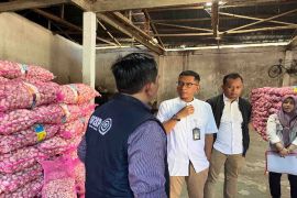 KPPU temukan realisasi impor bawang putih capai 27 persen
