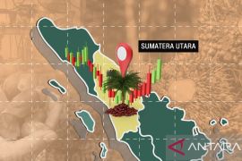 ICDX bidik potensi pasar fisik CPO di Sumut