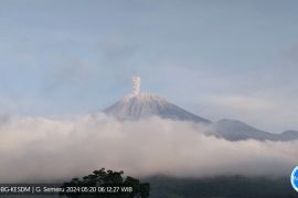 Gunung Semeru kembali erupsi