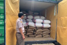 BKHIT Maluku  fasilitasi pengiriman pala dan fuli ke Belanda