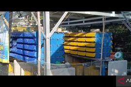 Bupati Bangka Tengah ajak warga budidayakan kepiting bakau