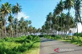 DKP Simeulue ajukan izin pengelolaan kelapa di pulau terluar ke KKP