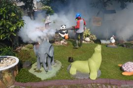 Pengasapan nyamuk Aedes aegypti