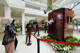 Kebun Raya Bogor pamerkan tumbuhan Platycerium pada HUT ke-207