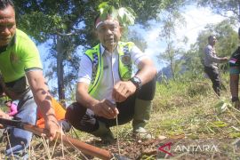 DLH Jayapura ajak pelajar tanam satu pohon tekan emisi rumah kaca