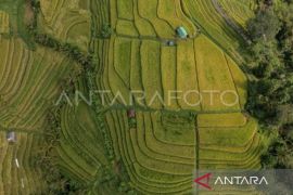 Panitia ajak delegasi World Water Forum wisata di Bali