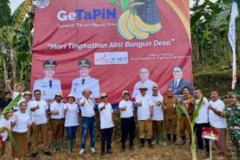 Bank Sumut luncurkan Program Gerakan Tanam Pisang Nias