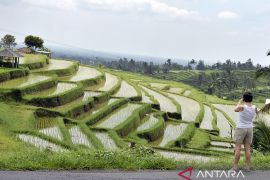 Indonesia pushes Bali's Tabanan for UNESCO creative city status