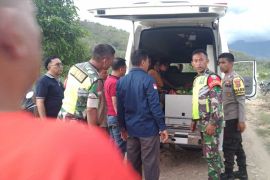 Petani di Aceh Tenggara meninggal dunia diserang kawanan gajah