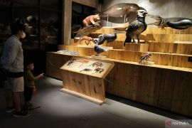 Animalium BRIN di Kebun Raya Cibinong Bogor lokasi favorit wisatawan pelajari satwa liar