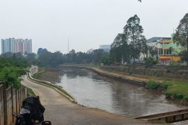 Lotus of Ciliwung River --- MAT PECI