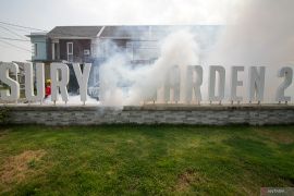 Pengasapan nyamuk aedes aegypti