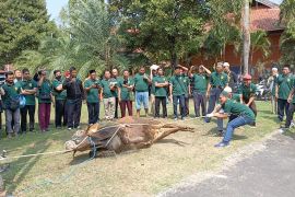 DKPP Kediri edukasi takmir masjid tentang proses penyembelihan halal