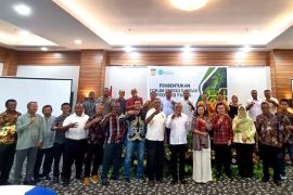 Papua bakal wujudkan investasi energi bersih
