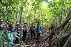 Unej gandeng mahasiswa Filipina kuatkan pemasaran ekowisata TNMB