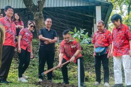 1.000 bibit pohon dari PSMTI ditanam di berbagai tempat Kota Magelang