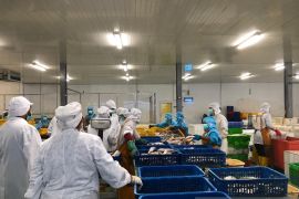 Akademisi: harga BBM terjangkau tingkatkan penjualan perikanan Maluku