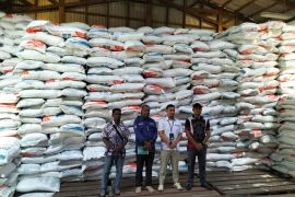 Bulog Sorsel dapat tambahan 1.000 ton beras