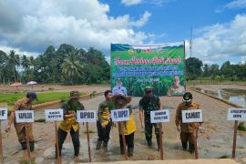 Petani Desa Jaro tanam perdana padi IP 200