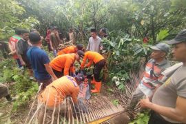 Basarnas: Perempuan lansia yang hilang di Kolaka Timur ditemukan tewas