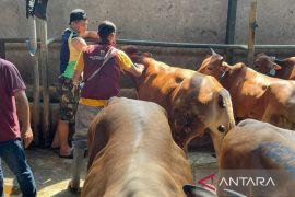 Pedagang dilarang jajakan hewan kurban di trotoar jalan
