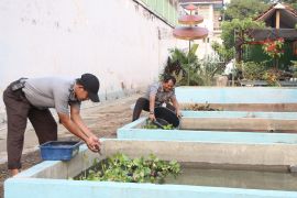 Lapas Kelas I Madiun fasilitasi warga binaan budidaya ikan lele