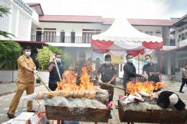 Kejari Bireuen musnahkan berbagai jenis barang bukti tindak pidana