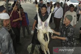 Pelatihan penyembelihan hewan kurban