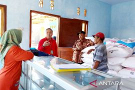 Situbondo dapat tambahan alokasi pupuk urea subsidi 12.435 ton