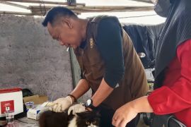 Distan Bandarlampung catat 2.183 HPR terima program vaksinasi gratis