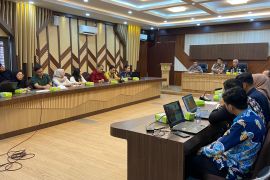 Dinas PUPR Kalsel bangun RTH di perbatasan Kalsel - Kaltim