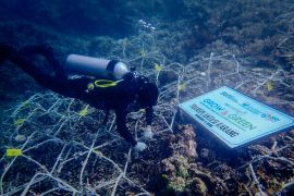 BRI komitmen jaga ekosistem laut dengan bantu Pokdarwis Ujung Bulo