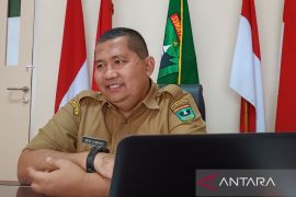 Bappeda : Lembah Anai butuh flyover antisipasi jatuhnya korban nyawa saat bencana