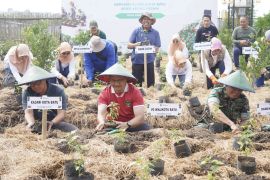 Pemkot Batu kuatkan gerakan tanam cabai demi tekan inflasi