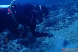Dampak pengeboran pipa TCN, Polisi tangani kerusakan laut di Gili Trawangan
