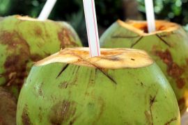 Minum air kelapa bisa mendatangkan manfaat bagi ibu hamil