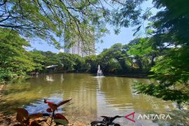 Melihat "oase hijau" Surabaya di Kebun Bibit Wonorejo