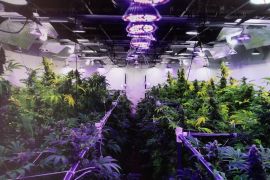 Bareskrim ungkap pabrik narkoba dan ganja hidroponik di villa Bali