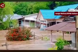 Curah hujan tinggi, 80 keluarga terdampak banjir di Kabupaten Malinau